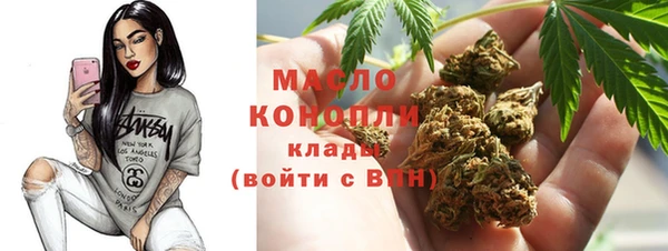 шишки Аркадак