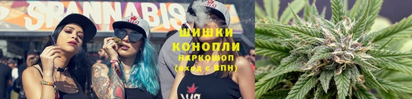 сатива Армянск