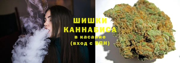 ешки Арсеньев