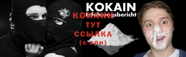 сатива Армянск
