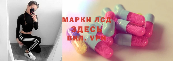 шишки Аркадак