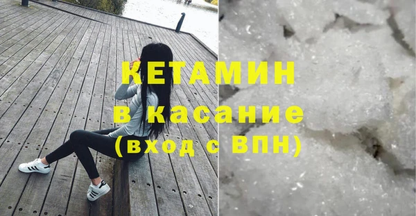 шишки Аркадак