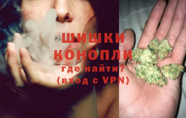 ешки Арсеньев