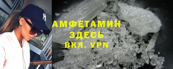 молекула духа Пересвет