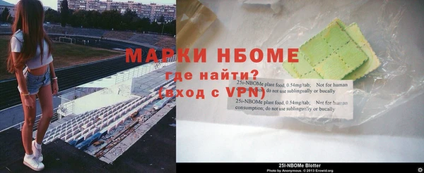 шишки Аркадак